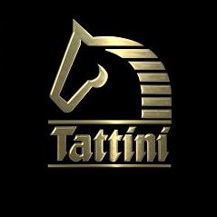       TATTINI ()