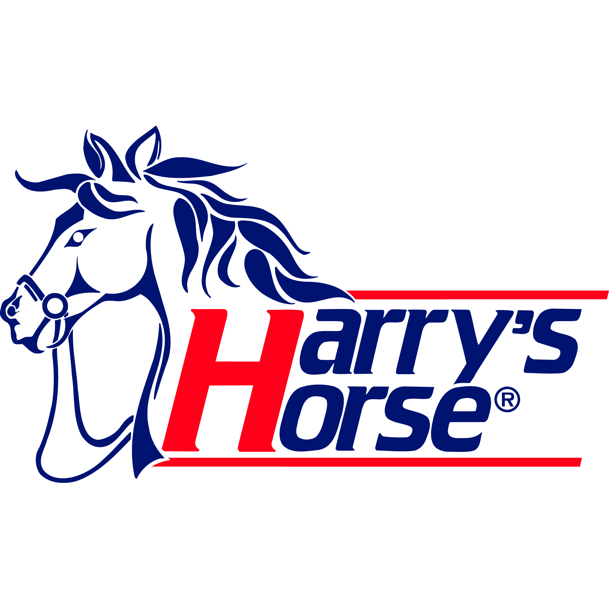    20 HARRY`S HORSE ()