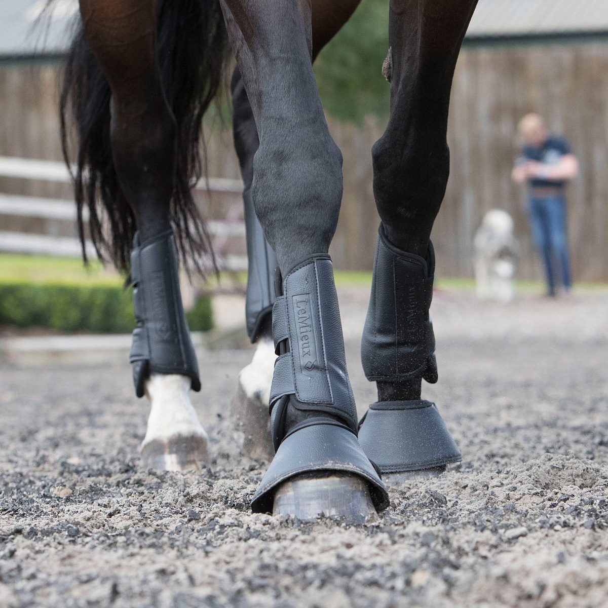   LE MIEUX Schooling Boots ()