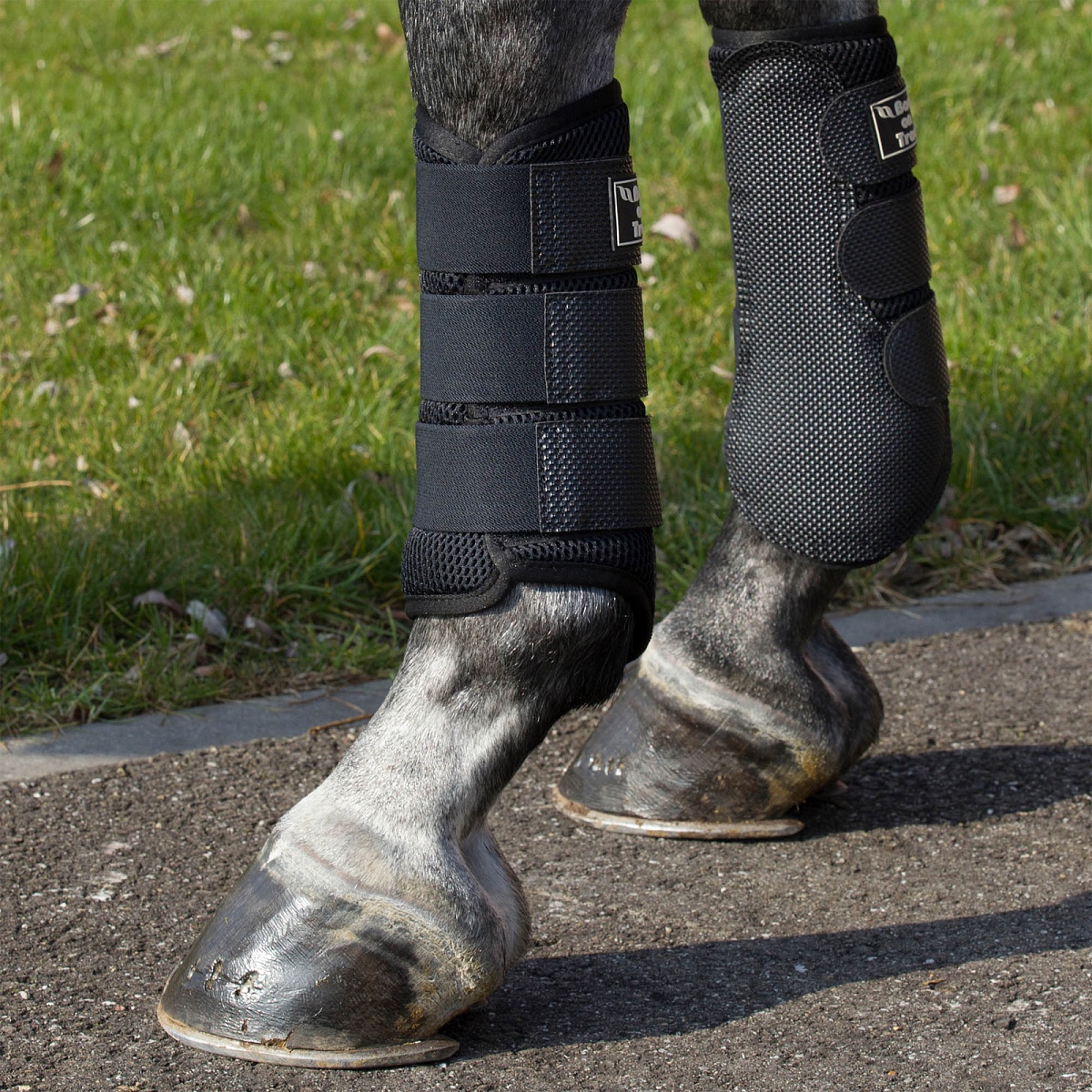 Ногавки для выездки Brush boot 3D mesh BACK ON TRACK (Германия)