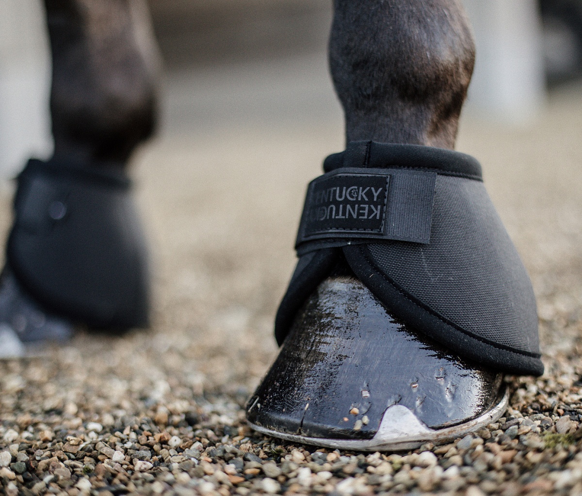  Overreach Boots Heel Protection KENTUCKY